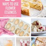 Collage of Recipes that use flower essences