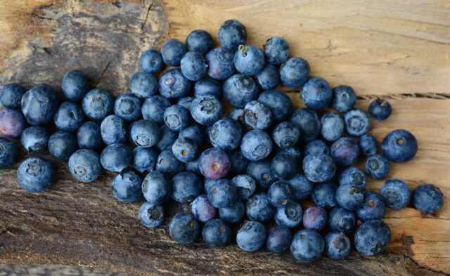Lots of ripe blueberries