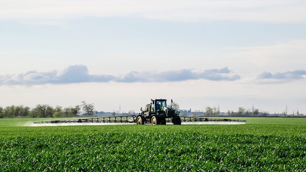 fertilizer spreader spraying corn field