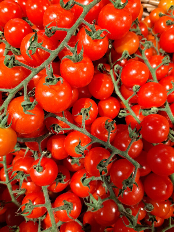 Tomatoes.